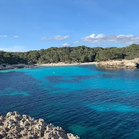 With Garden And Swimming And Appartamento