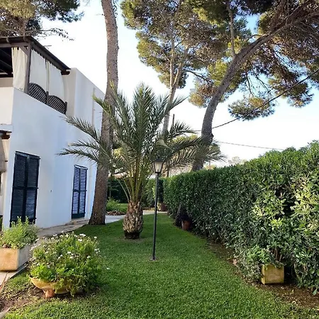 With Garden And Swimming And *