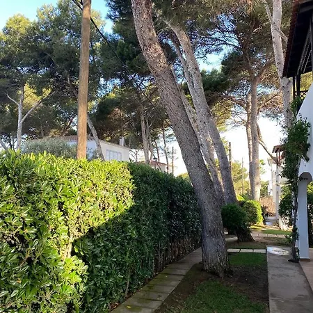 Apartment With Garden And Swimming And *