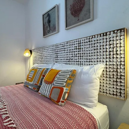 With Garden And Swimming And