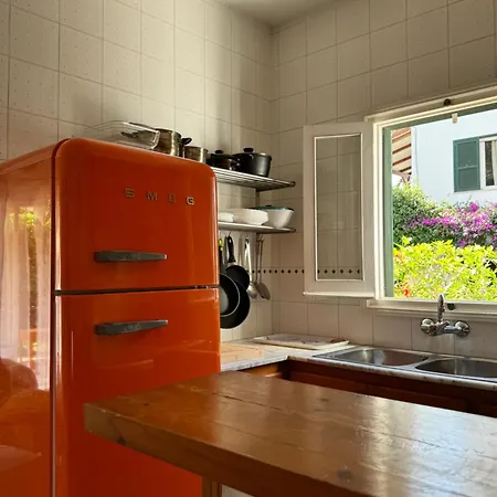 With Garden And Swimming And Apartment *