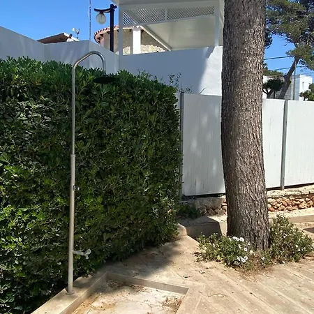 With Garden And Swimming And Apartment *