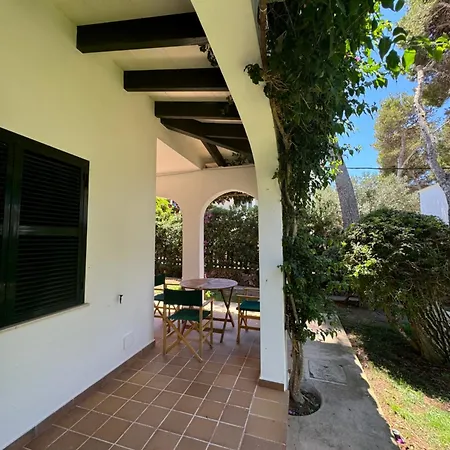 With Garden And Swimming And Apartment *