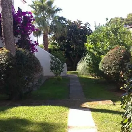 With Garden And Swimming And *