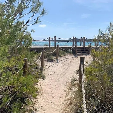 With Garden And Swimming And アパート *