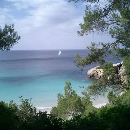 With Garden And Swimming And