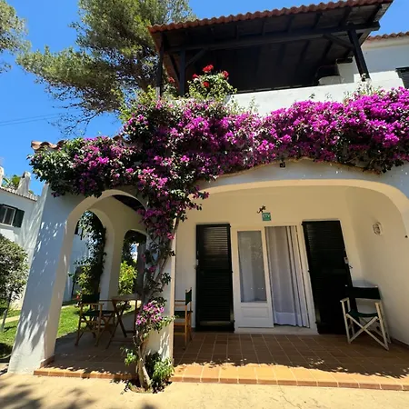 With Garden And Swimming And *